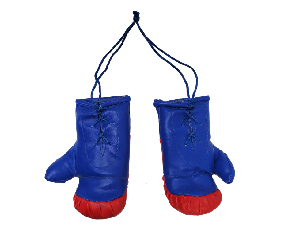 Add some Chelsea pride to your ride! These adorable mini boxing gloves are perfect for your rearview mirror. Approximately 5 inches x 3 inches.